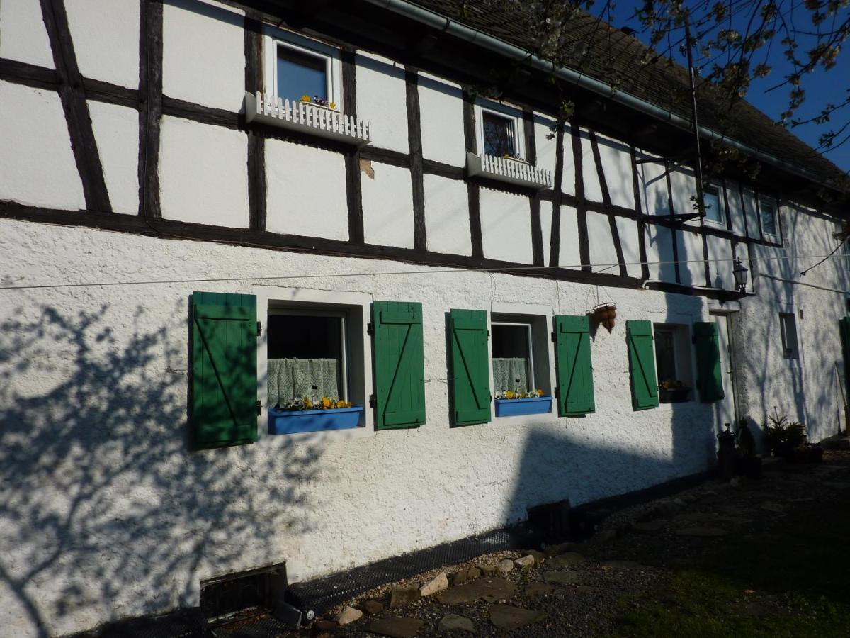 Ferienwohnung Kowalowka Mirsk Exterior foto